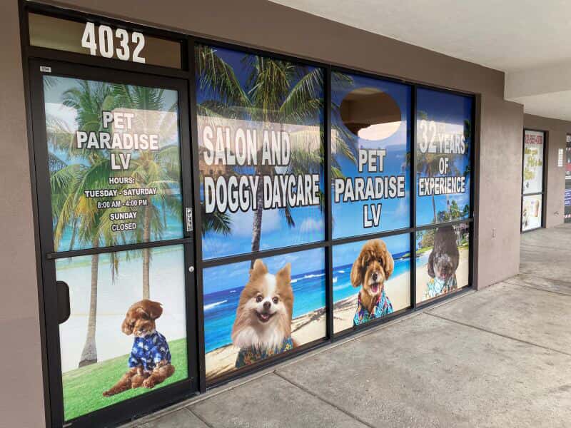 Window Graphics